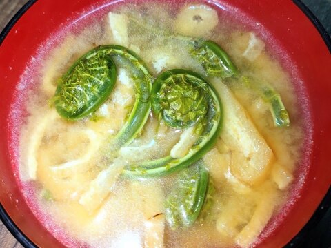 毎日のお味噌汁260杯目*コゴミと油揚げ